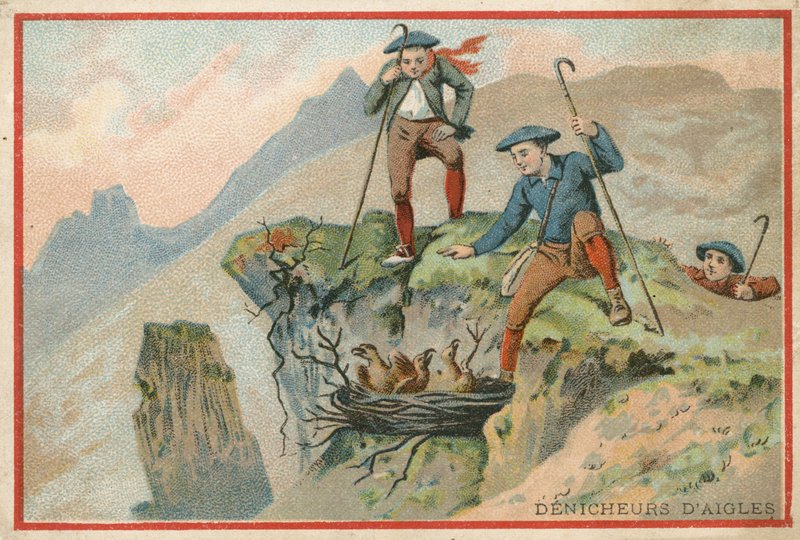 ईगल अंडे चुराने वाले पुरुषों की छवि वाला ट्रेड कार्ड द्वारा फ्रेंच स्कूल
