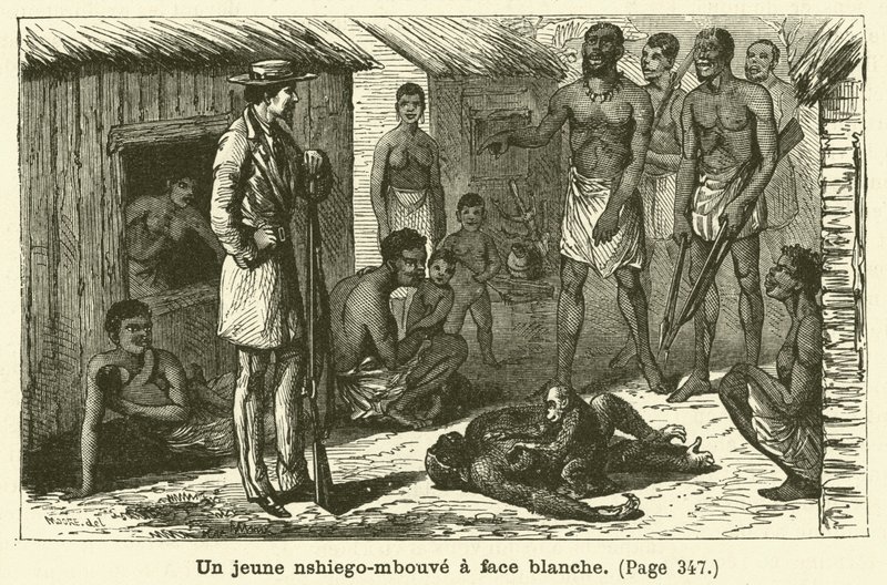 एक युवा सफेद-सामना करने वाला nshiego-mbouve (उत्कीर्णन) द्वारा फ्रेंच स्कूल