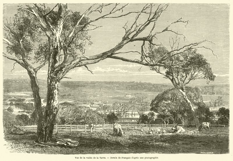 Vue de la vallee de la Yarra (उत्कीर्णन) द्वारा फ्रेंच स्कूल