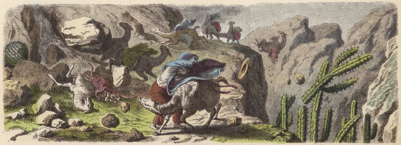 एंडीज (रंगीन उत्कीर्णन) में एक तूफान में पकड़ा गया अयस्क परिवहन करने वाला एक लामा कारवां द्वारा जर्मन स्कूल
