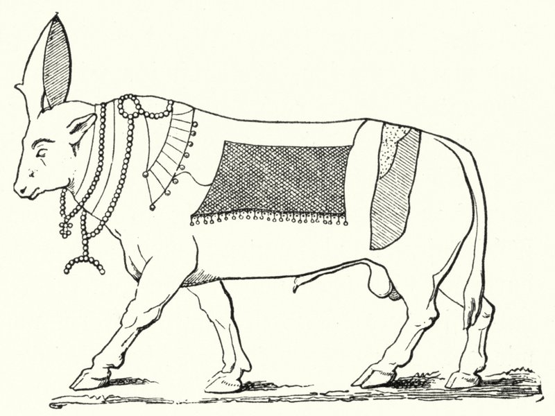 एपिस, प्राचीन मिस्र का पवित्र बैल (उत्कीर्णन) द्वारा जर्मन स्कूल