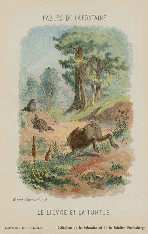 कछुआ (हरे रंग का) द्वारा गुस्ताव डोर