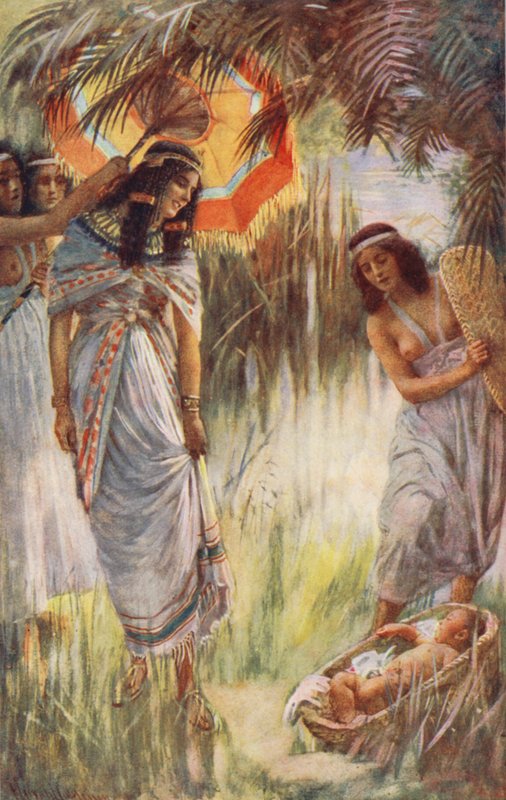  द्वारा हेरोल्ड मैथुन