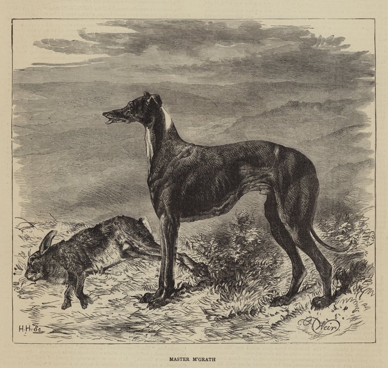 मास्टर M&39;Grath द्वारा हैरिसन विलियम वियर