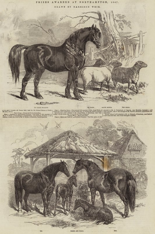 1847 में नॉर्थम्प्टन में पुरस्कार दिए गए द्वारा हैरिसन विलियम वियर