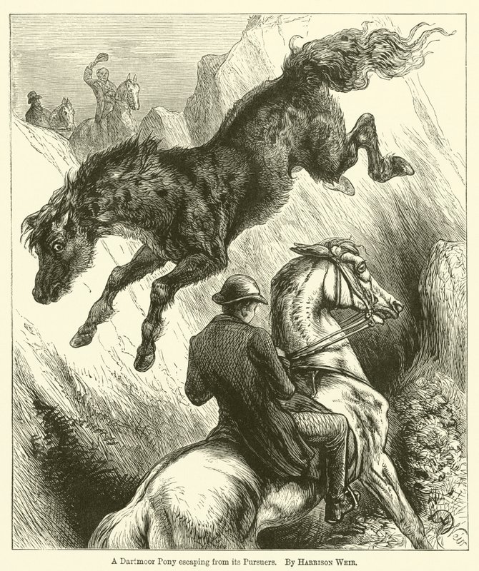 एक Dartmoor टट्टू अपने पीछा से बच द्वारा हैरिसन विलियम वियर