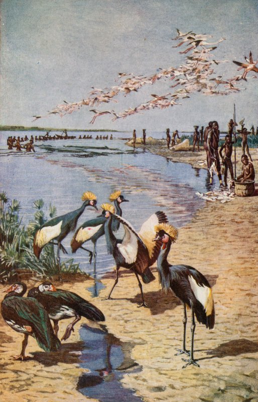 1822 में डेन्हम द्वारा देखा गया, चाड झील का उत्तरी तट द्वारा हैरी हैमिल्टन जॉनसन