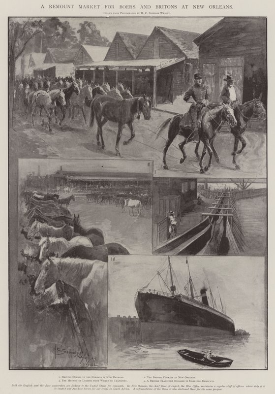 न्यू ऑरलियन्स में बोअर्स एंड ब्रिटन के लिए एक रिमाउंट मार्केट द्वारा हेनरी चार्ल्स सेपिंग्स राइट