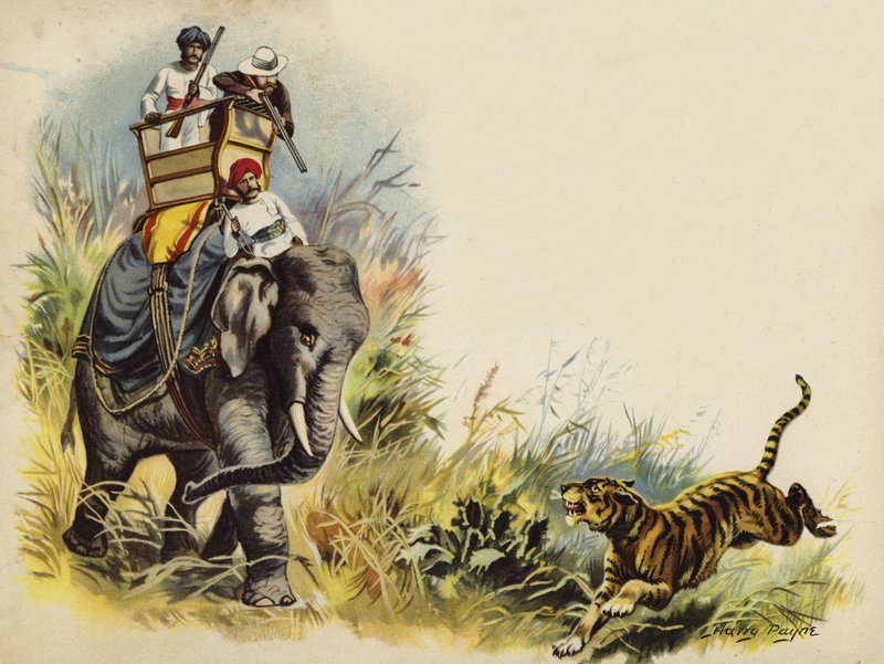 भारत में शाही दौरे के दौरान प्रिंस ऑफ वेल्स बाघ की शूटिंग, 1905 (क्रोमोलिथो) द्वारा हेनरी पायने