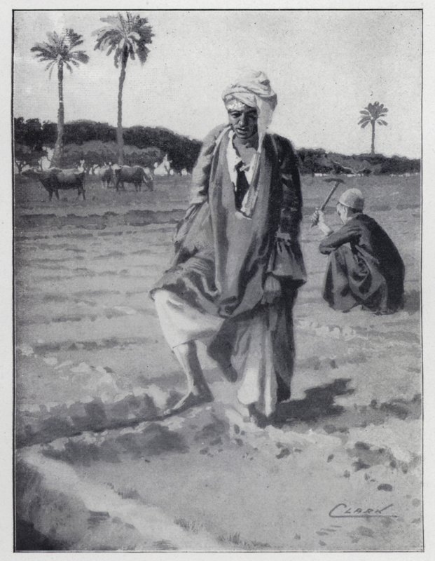 गिजेह, मिस्र (लिथो) में पैर से पानी पिलाना द्वारा हेनरी एंड्रयू हार्पर