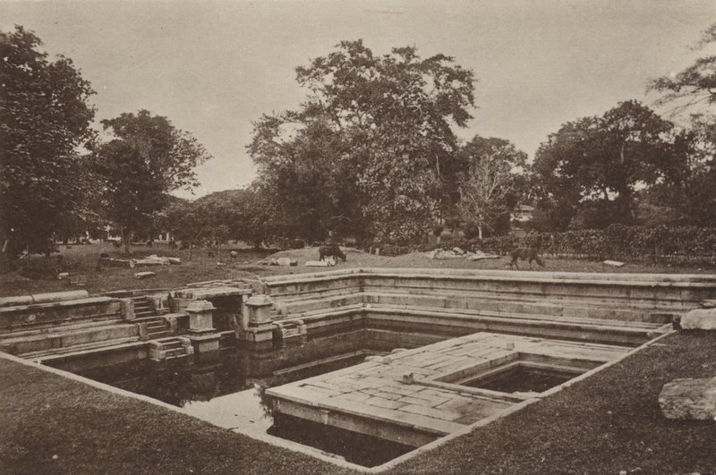  द्वारा हेनरी डब्ल्यू गुफा
