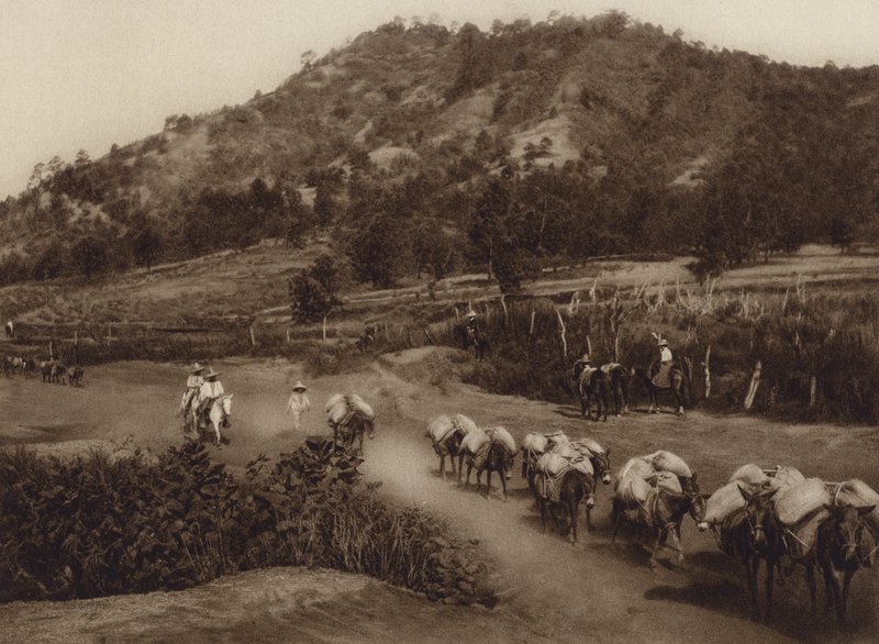  द्वारा ह्यूगो ब्रेहमे