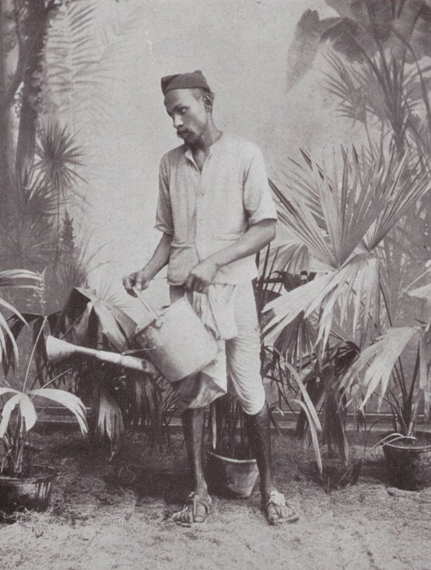  द्वारा भारतीय फोटोग्राफर