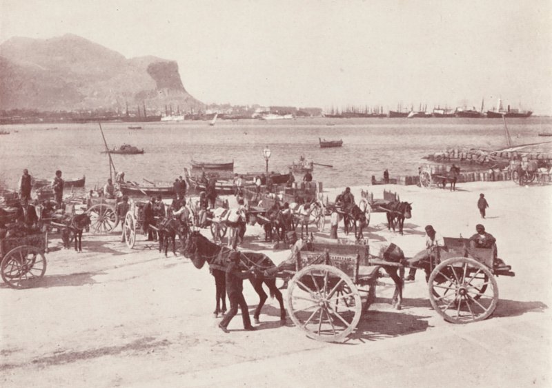  द्वारा इतालवी फोटोग्राफर