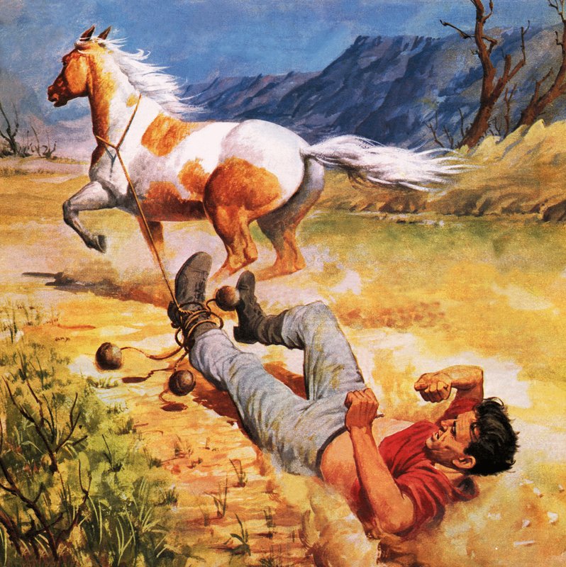  द्वारा जेम्स एडविन मैककोनेल