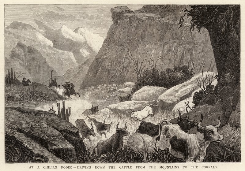 चिलियान रोडो पर, माउन्टेन से कोरल के लिए मवेशी नीचे चला गया द्वारा जॉन चार्ल्स डॉलमैन