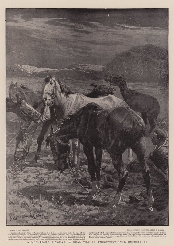 एक चांदनी Bivouac, एक वास्तविक हालांकि अपरंपरागत अनुभव द्वारा जॉन चार्लटन