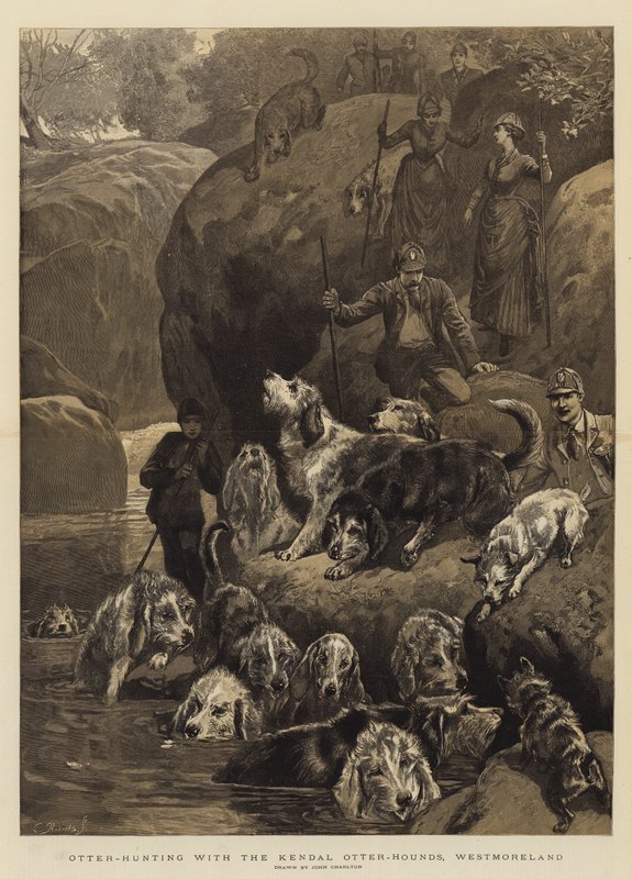 औटर-हंटिंग विद केंडल ओटर-हाउंड्स, वेस्टमोरलैंड द्वारा जॉन चार्लटन