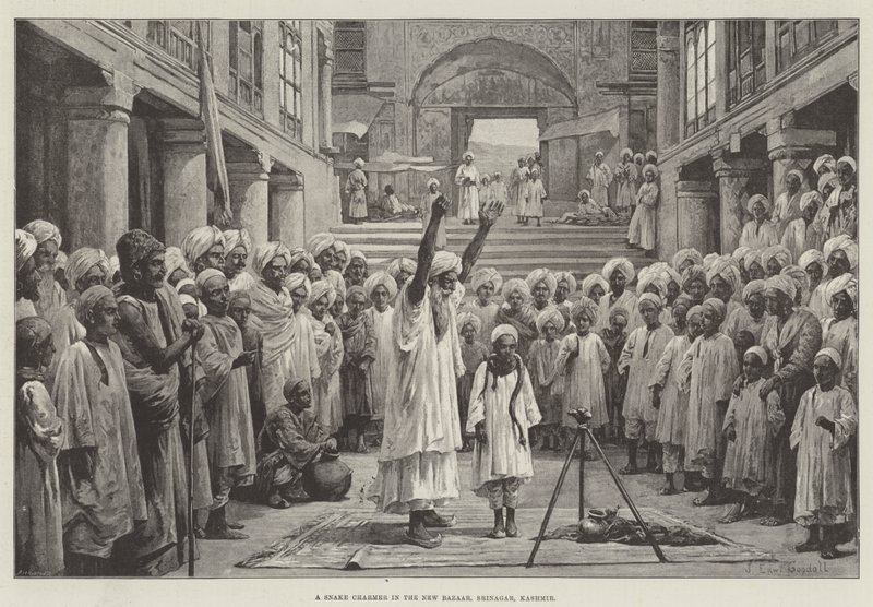 कश्मीर के श्रीनगर के न्यू बाज़ार में एक साँप का बच्चा द्वारा जॉन एडवर्ड गुडॉल