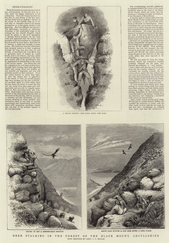 डियर स्टैकिंग इन द फॉरेस्ट ऑफ़ द ब्लैक माउंट, अर्गिलशायर द्वारा जॉन गुइल मिलिस