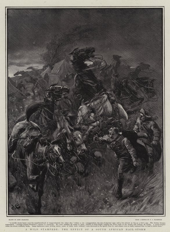 एक जंगली भगदड़, एक दक्षिण अफ्रीकी हेल-तूफान का प्रभाव द्वारा जॉन चार्लटन