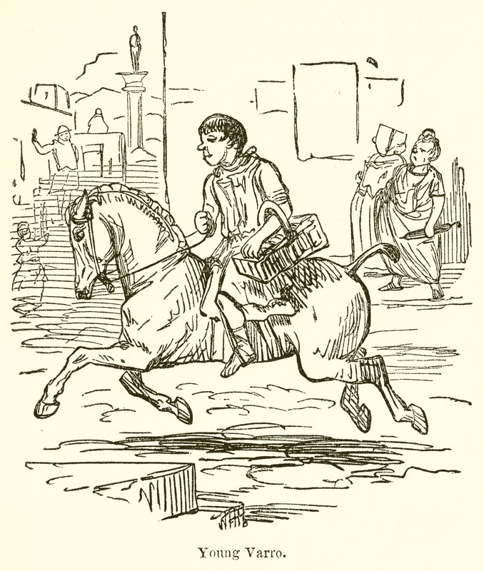 युवा, Varro द्वारा जॉन लीचो