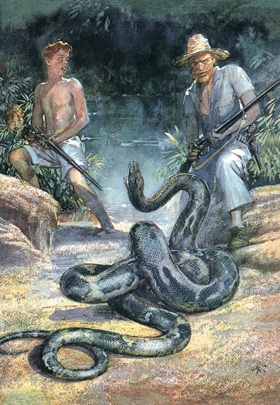  द्वारा जॉन मिलर वत्स