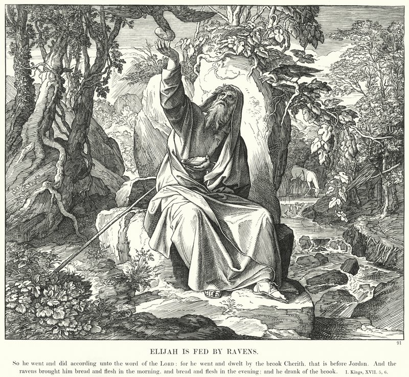 एलिय्याह रेवेन्स द्वारा फेड है (उत्कीर्णन) द्वारा जूलियस (बाद में) श्नोरर वॉन कैरोलसफील्ड