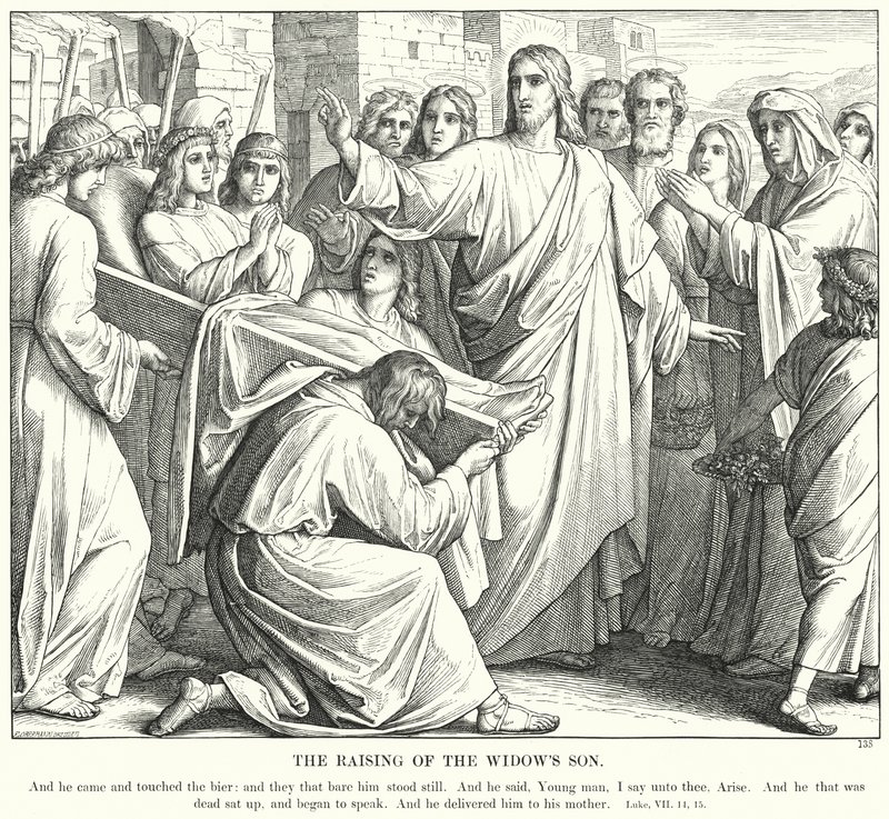 विधवा के बेटे की स्थापना (उत्कीर्णन) द्वारा जूलियस (बाद में) श्नोरर वॉन कैरोलसफील्ड
