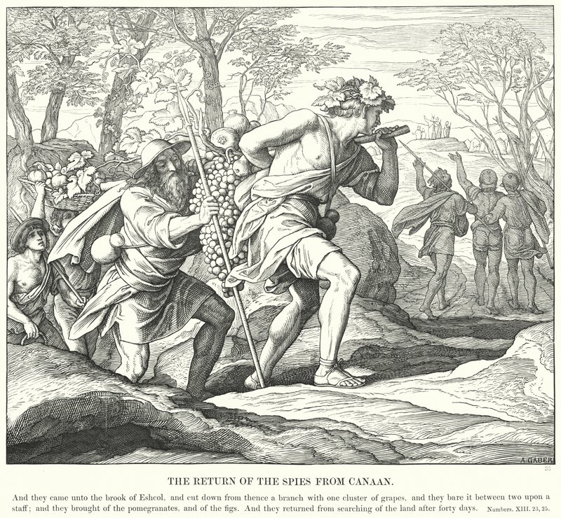 कनान से जासूसों की वापसी (उत्कीर्णन) द्वारा जूलियस (बाद में) श्नोरर वॉन कैरोलसफील्ड