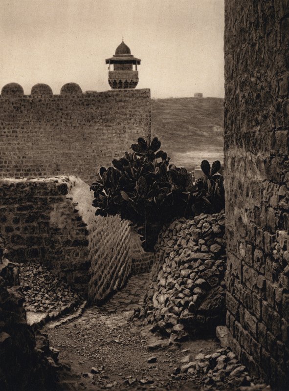  द्वारा कार्ल ग्रोबे