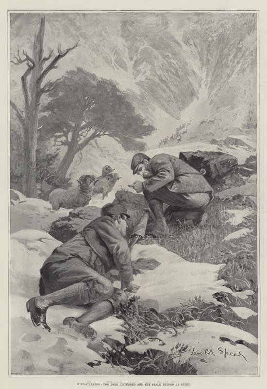 हिंड-स्टैकिंग, हिरण परेशान और भेड़ द्वारा बर्बाद डंठल द्वारा लैंसलॉट स्पीड