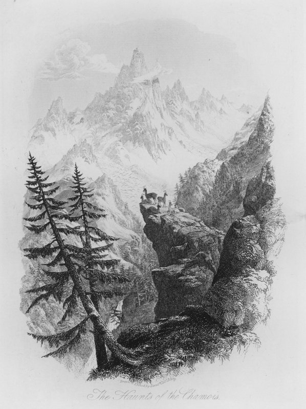 Chamois के अड्डा (उत्कीर्णन) द्वारा लेफ्टिनेंट कर्नल (बाद में) बट्टियो