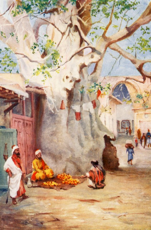  द्वारा मार्गरेट थॉमस