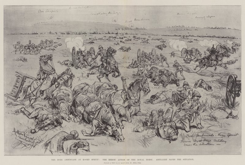 कोर्न स्पो‌र्ट्स में द Boer Ambuscade, Royal Horse Artillery की वीर एक्शन सिचुएशन को बचाता है द्वारा मेल्टन प्रायर