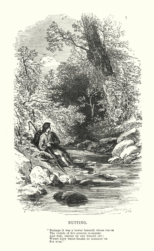विलियम वर्ड्सवर्थ: नटिंग (उत्कीर्णन) द्वारा माइल्स बिरकेट (बाद में) फोस्टर