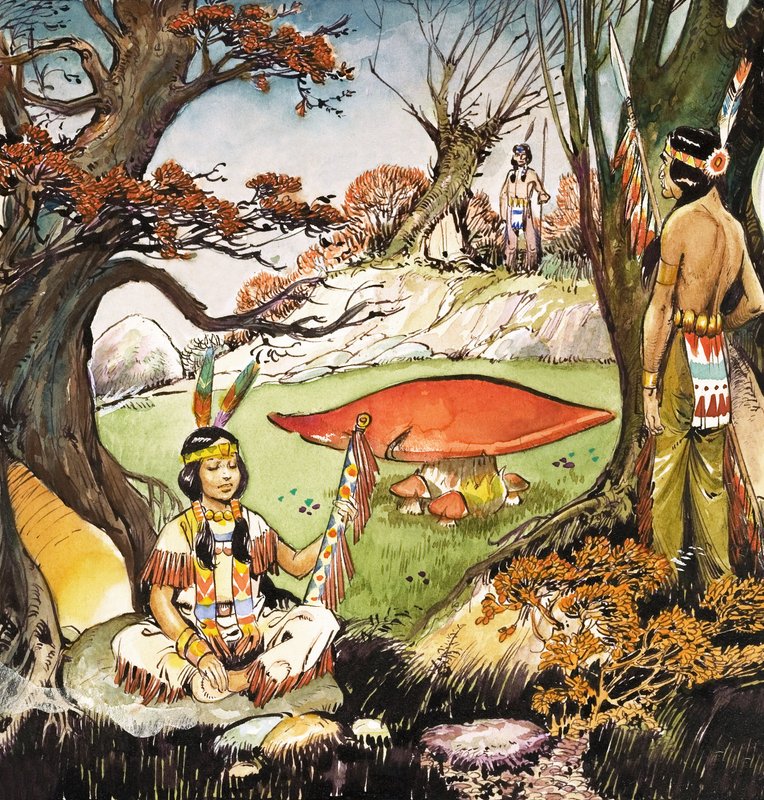 द्वारा नादिर क्विंटो
