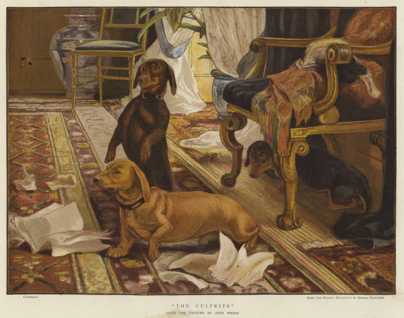 एक बैठक में एक कुर्सी के चारों ओर तीन dachshunds (रंग लिथो) द्वारा ओटो वेबर
