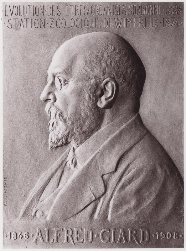 अल्फ्रेड जिआर्ड (1846-1908), प्राणी विज्ञानी, चित्र (लिथो) द्वारा पॉल मैरी लुई पियरे रिचर