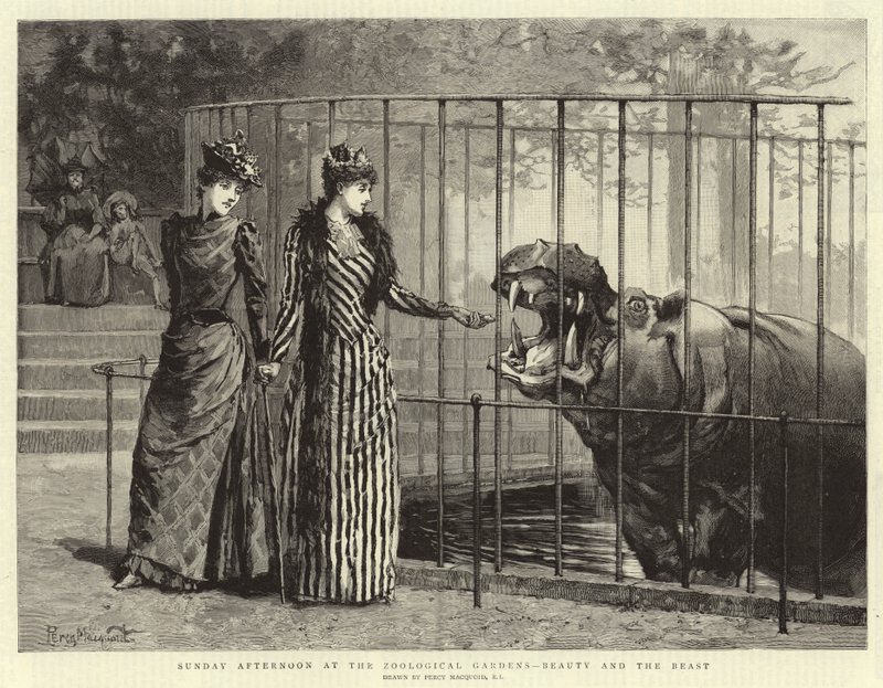 जूलॉजिकल गार्डन, ब्यूटी एंड द बीस्ट में रविवार दोपहर द्वारा पर्सी मैकॉइड