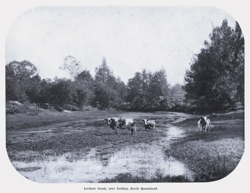 लॉकयर क्रीक, लैडले के पास, दक्षिण क्वींसलैंड (बी / डब्ल्यू फोटो) द्वारा फोटोग्राफर ऑस्ट्रेलियाई