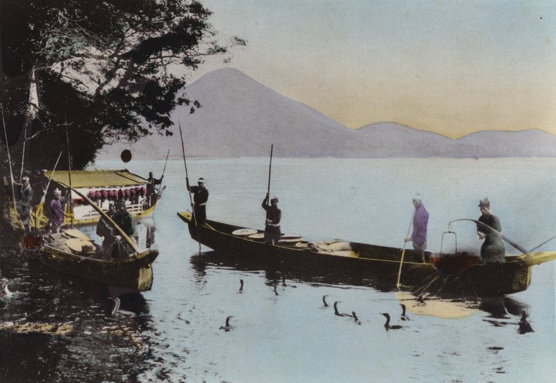 जापान, c.1912: जलकाग के साथ मछली पकड़ना, नागरागावा (फोटो) द्वारा फोटोग्राफर जापानी