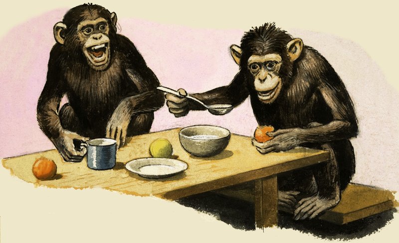  द्वारा आरबी डेविस