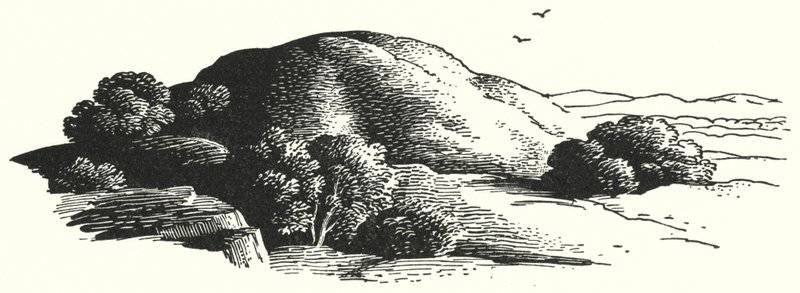 हैंस क्रिश्चियन एंडरसन: द एल्फिन-माउंट (लिथो) द्वारा रेक्स (बाद में) व्हिस्लर