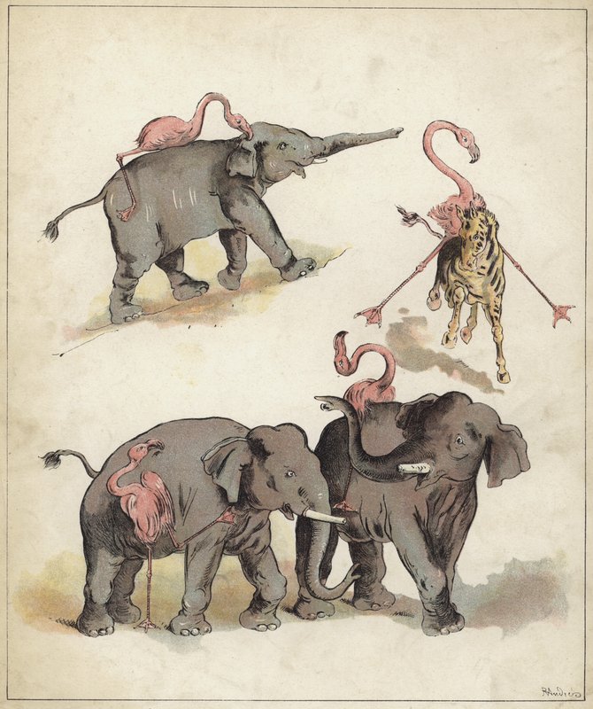 हाथी और राजहंस (क्रोमोलिथो) द्वारा रिचर्ड आंद्रे