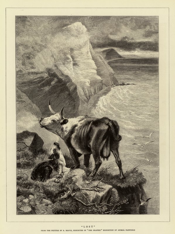 खो गया द्वारा रिचर्ड बीविस