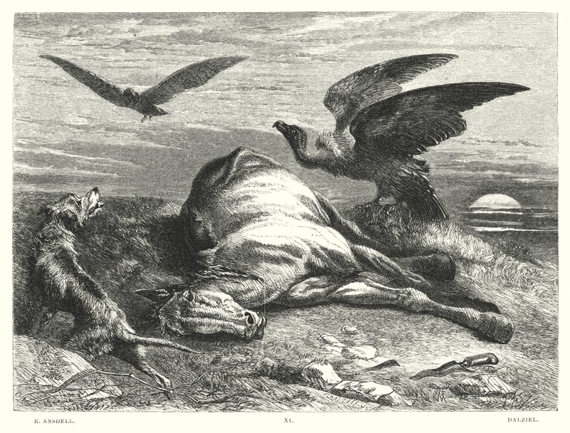 लॉर्ड बायरन के चाइल्ड हेरोल्ड, कैंटो I, स्टांजा 88 (उत्कीर्णन) द्वारा रिचर्ड (बाद) Ansdell