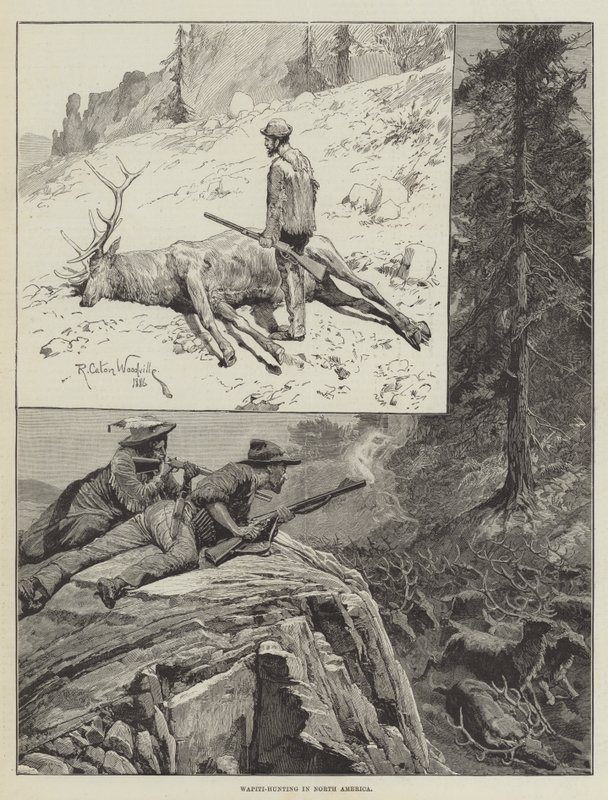 उत्तरी अमेरिका में वैपिटी-शिकार (उत्कीर्णन) द्वारा रिचर्ड कैटन II (बाद में) वुडविले