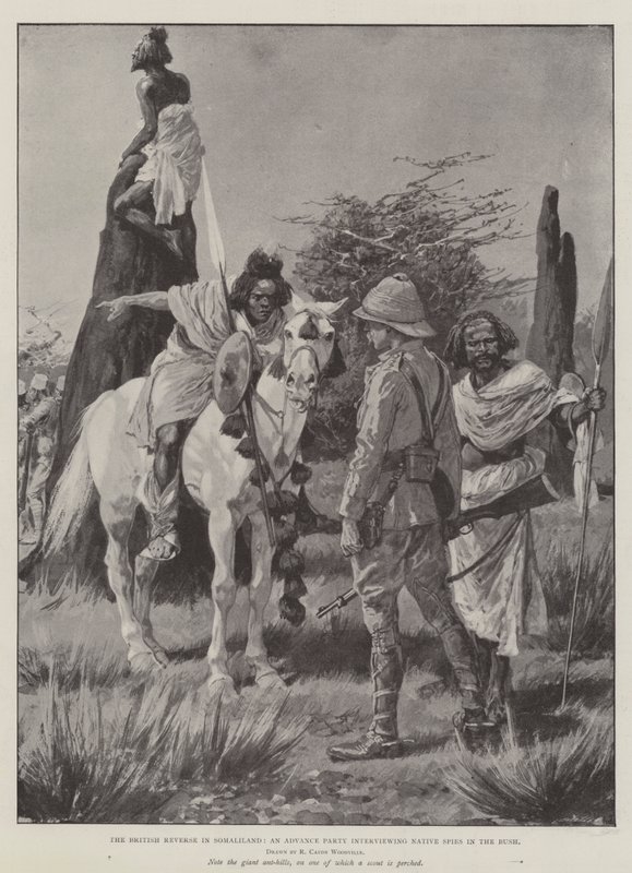 सोमालीलैंड में ब्रिटिश रिवर्स, एडवांस पार्टी में बुश में देशी जासूसों का साक्षात्कार द्वारा रिचर्ड केटन वुडविले जूनियर