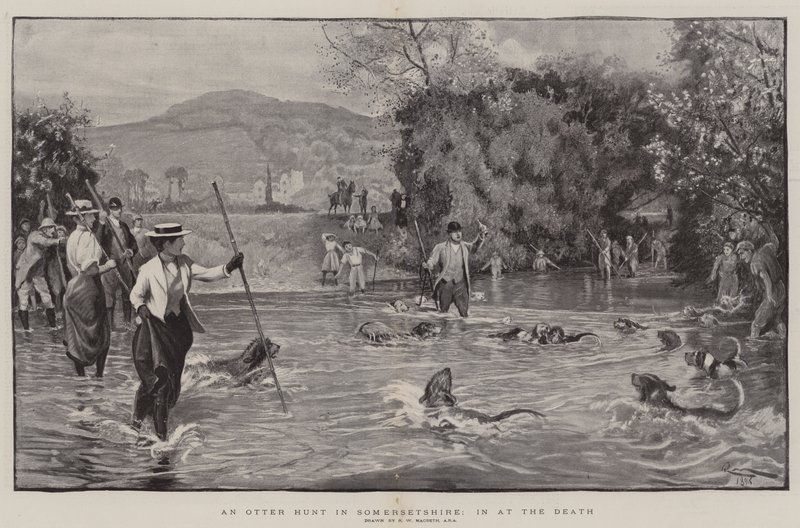 एक ओटर हंट इन द सोमरसशायर, डेथ में द्वारा रॉबर्ट वॉकर मैकबेथ